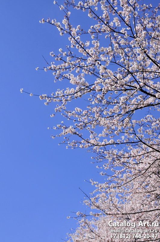 Blossom tree 96